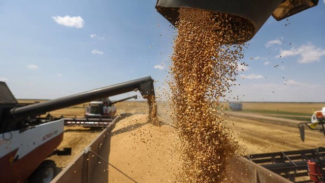 ميلة: رفع قدرات تخزين الحبوب إلى ما يزيد عن 2 مليون و149 ألف قنطار